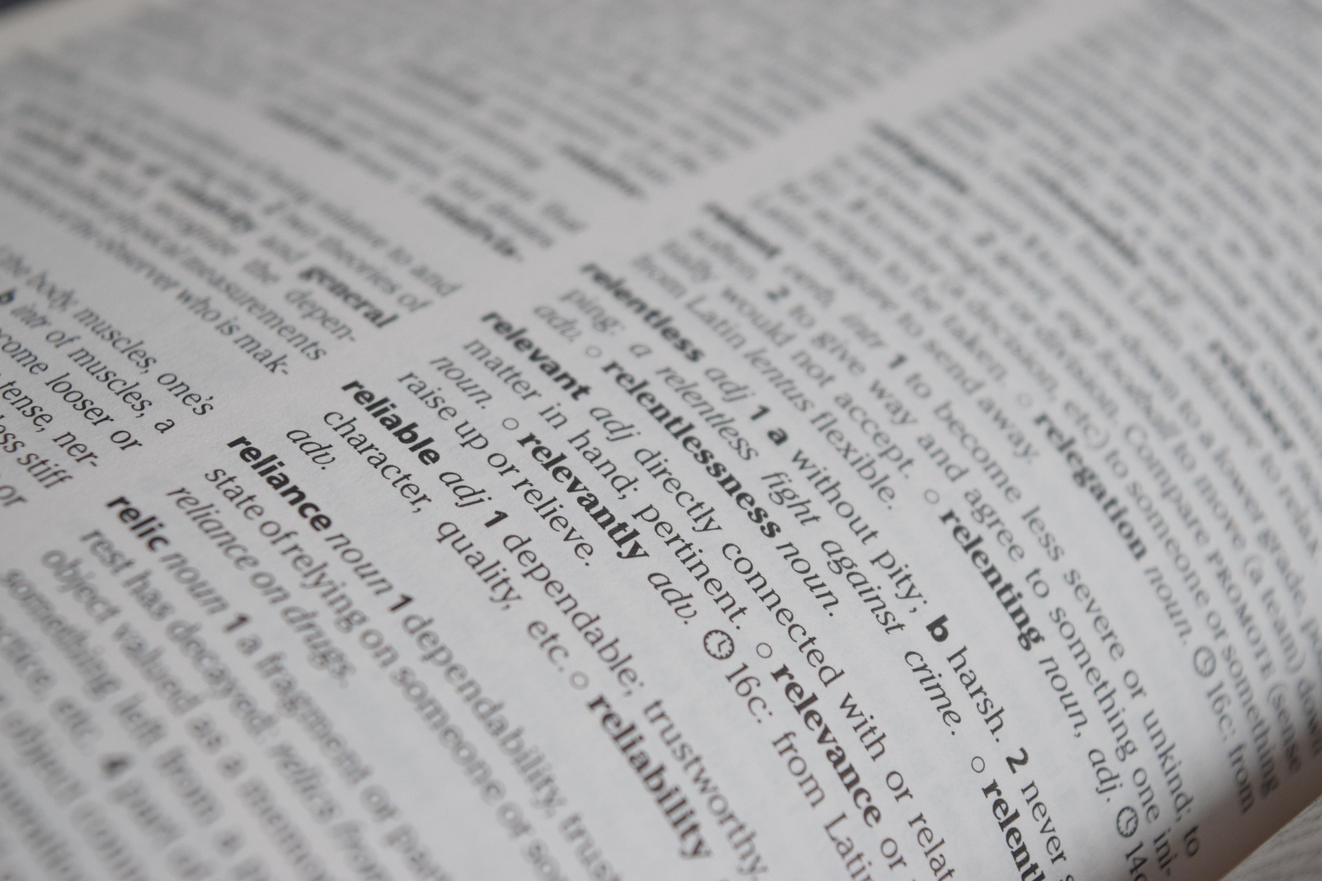 words displayed in dictionary